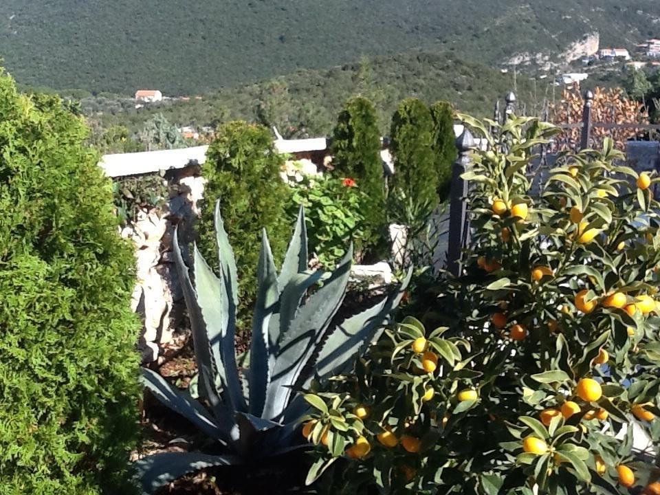 Villa Mirista Lustica Ruang foto